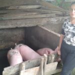Nexa Yaneth Quiroga - Porcicultura.
